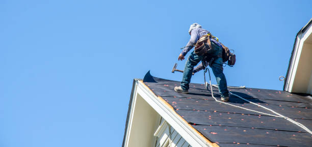 Roof Gutter Cleaning in Chelsea, MA